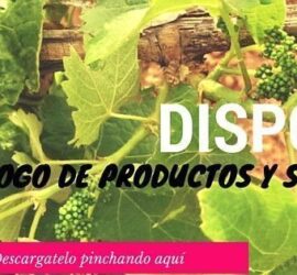 catálogo de productos y servicios Sercopag