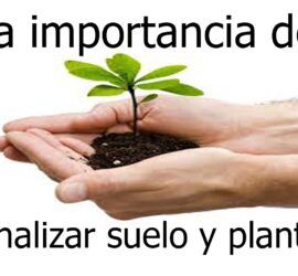 analisis