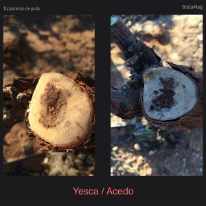 desinfectante de madera