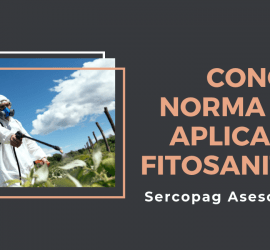 fitosanitarios