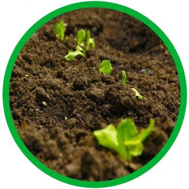 ABONOS Y FERTILIZANTES