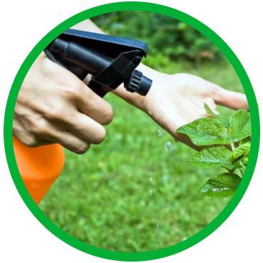 INSECTICIDAS, FUNGICIDAS Y HERBICIDAS