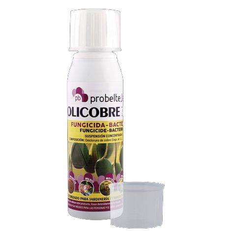 Olicobre Oxicloruro de cobre 70% fungicida bactericida JED