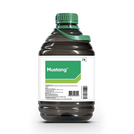 Mustang herbicida 2,4 D ácido 30% + Florasulam 0,62%