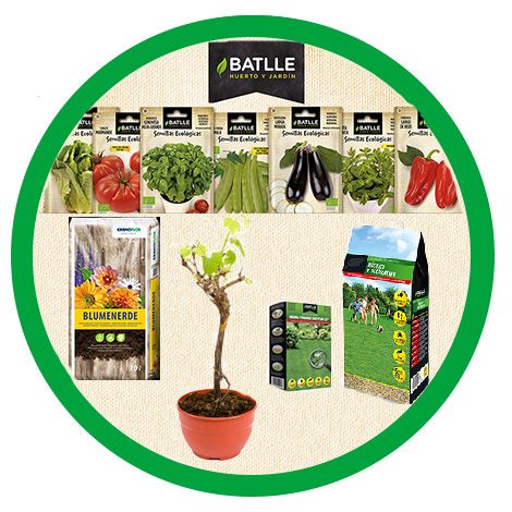 SEMILLAS, SUSTRATOS Y PLANTAS