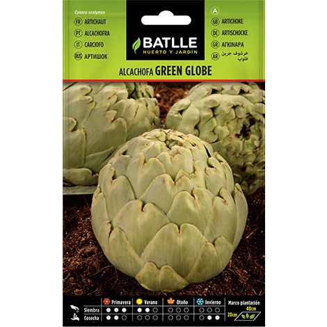 Semilla Alcachofa Green Globe
