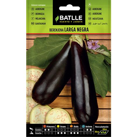 Semilla Berenjena LARGA NEGRA
