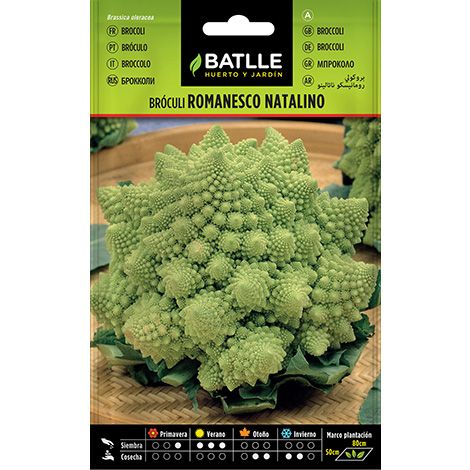 Semilla Bróculi ROMANESCO NATALINO