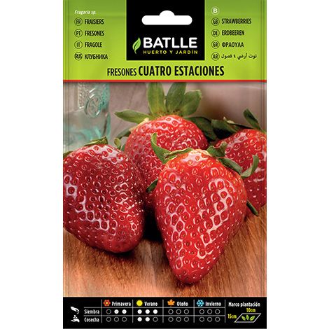 Semilla Fresones 4 estaciones