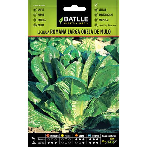 Semilla Lechuga LARGA OREJA DE MULO
