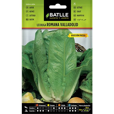 Semilla Lechuga VALLADOLID S. PUCELA