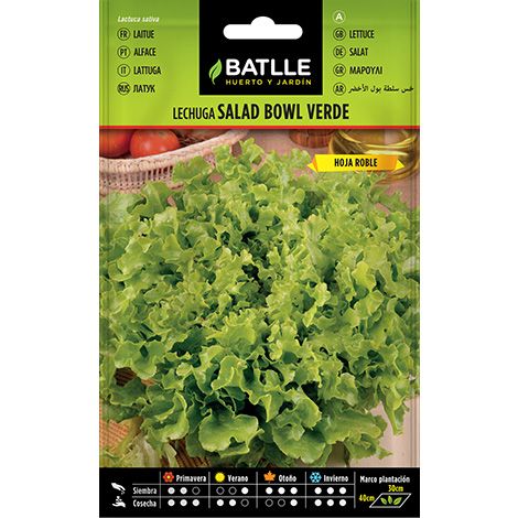 Semilla Lechuga Salad Bowl Verde