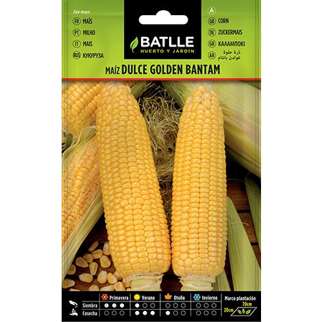 Semilla Maíz Dulce GOLDEN BANTAM