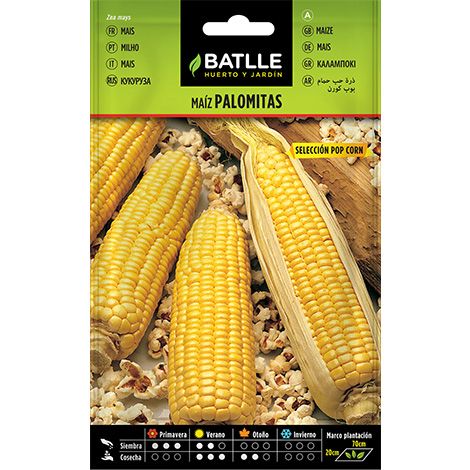 Semilla Maíz Palomitas POP CORN