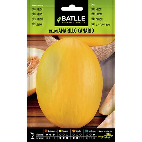 Semilla Melón AMARILLO CANARIO