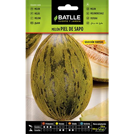 Semilla Melón PIEL DE SAPO S. TORPEDO