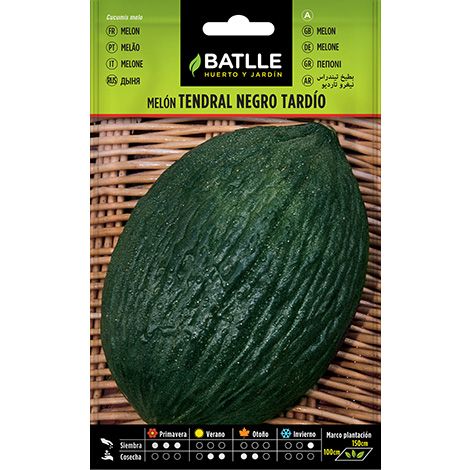 Semilla Melón TENDRAL NEGRO TARDIO