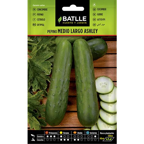 Semilla Pepino ASHLEY medio largo