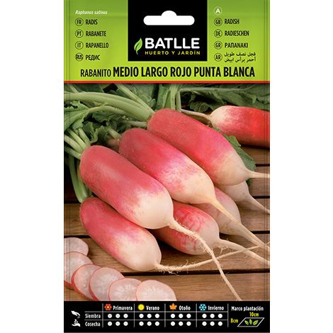 Semilla Rabanito Red. rojo punta blanca