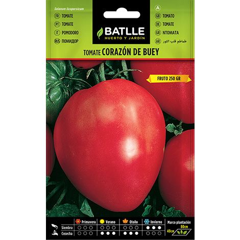 Semilla Tomate Corazón de Buey