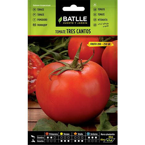 Semilla Tomate TRES CANTOS