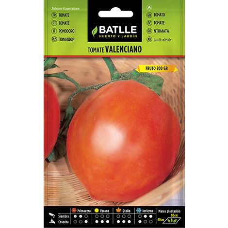 Semilla Tomate VALENCIANO