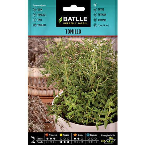 Semilla Tomillo Farigola - Thymus vulgaris