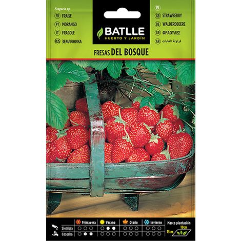 Semilla Fresas de Bosque