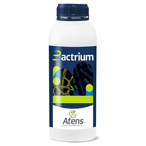 Bactrium bacterias Bacillus Megaterium ecológico
