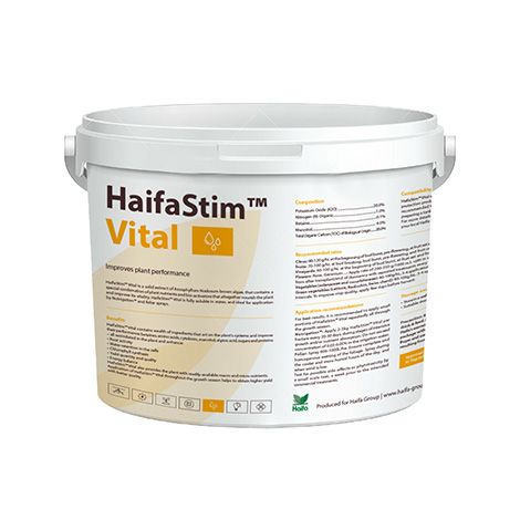 HaifaStim Vital extracto sólido de algas ecológicas