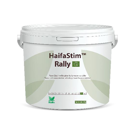 HaifaStim Rally Glicina betaína
