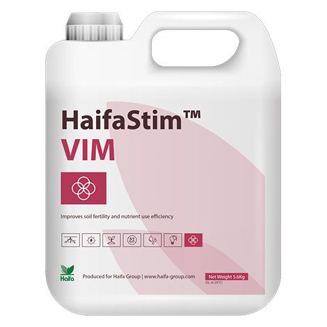 HaifaStim Vim