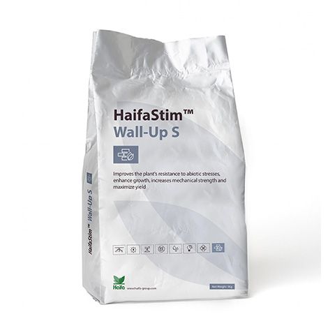 HaifaStim Wall-up S