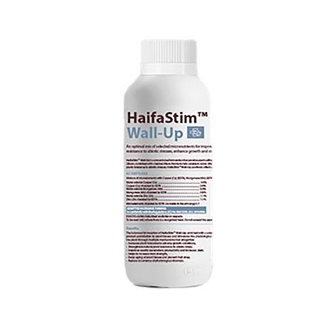HaifaStim Wall-up