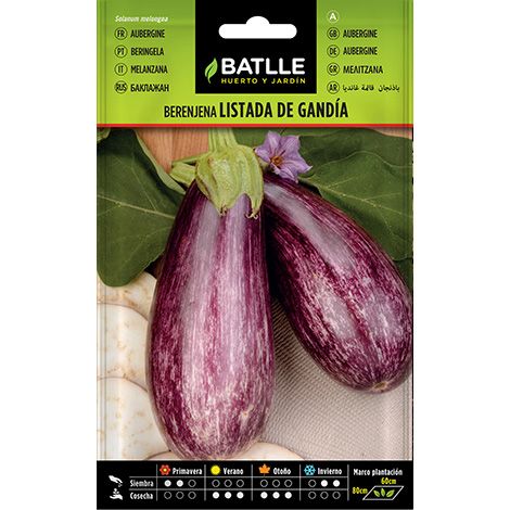 Semilla Berenjena listada de Gandía