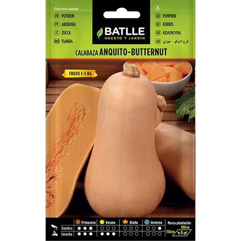 Semilla Calabaza Anquito-Butternut