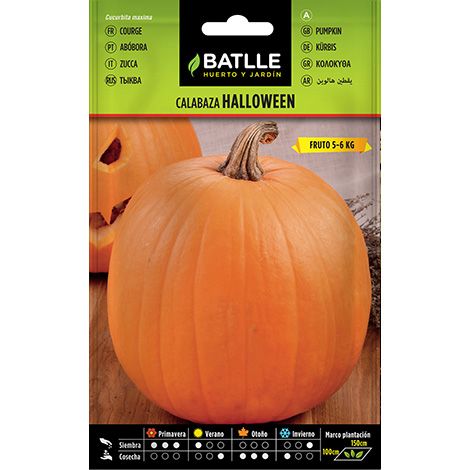 Semilla Calabaza Halloween