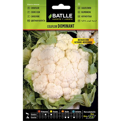 Semilla Coliflor Dominant Blanquita (OCT-NOV)