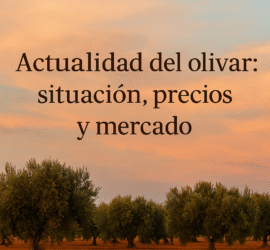 Paisaje de olivar en otoño en Castilla-La Mancha, con el título del artículo sobre precios del aceite, tratamientos y la visita de Jorge Jaramillo.