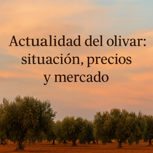 Paisaje de olivar en otoño en Castilla-La Mancha, con el título del artículo sobre precios del aceite, tratamientos y la visita de Jorge Jaramillo.