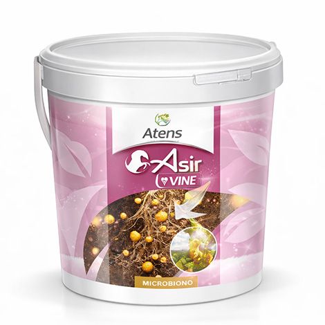 Asir VINE micorriza + trichoderma ecológico