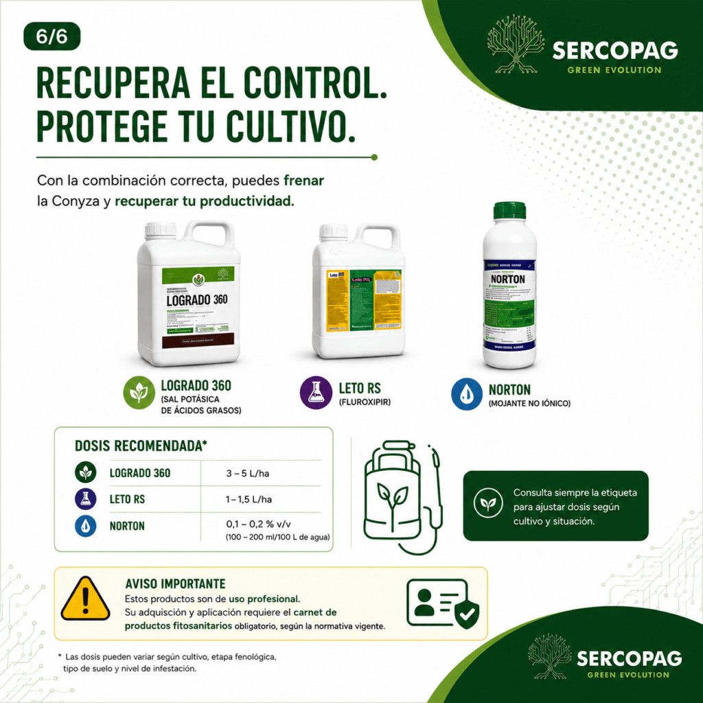 control conyza