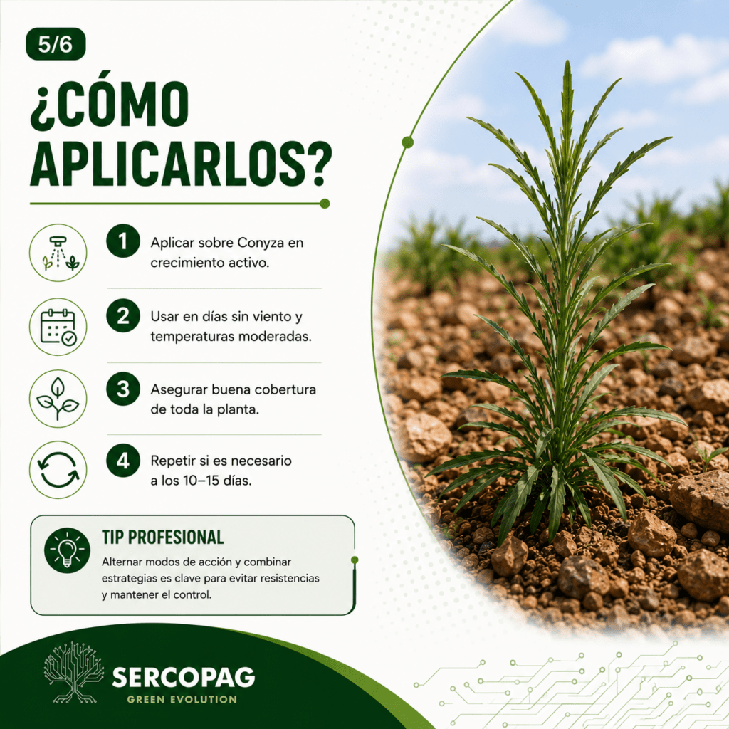 como aplicar para control conyza